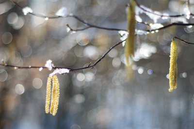 PP Augšperský potok